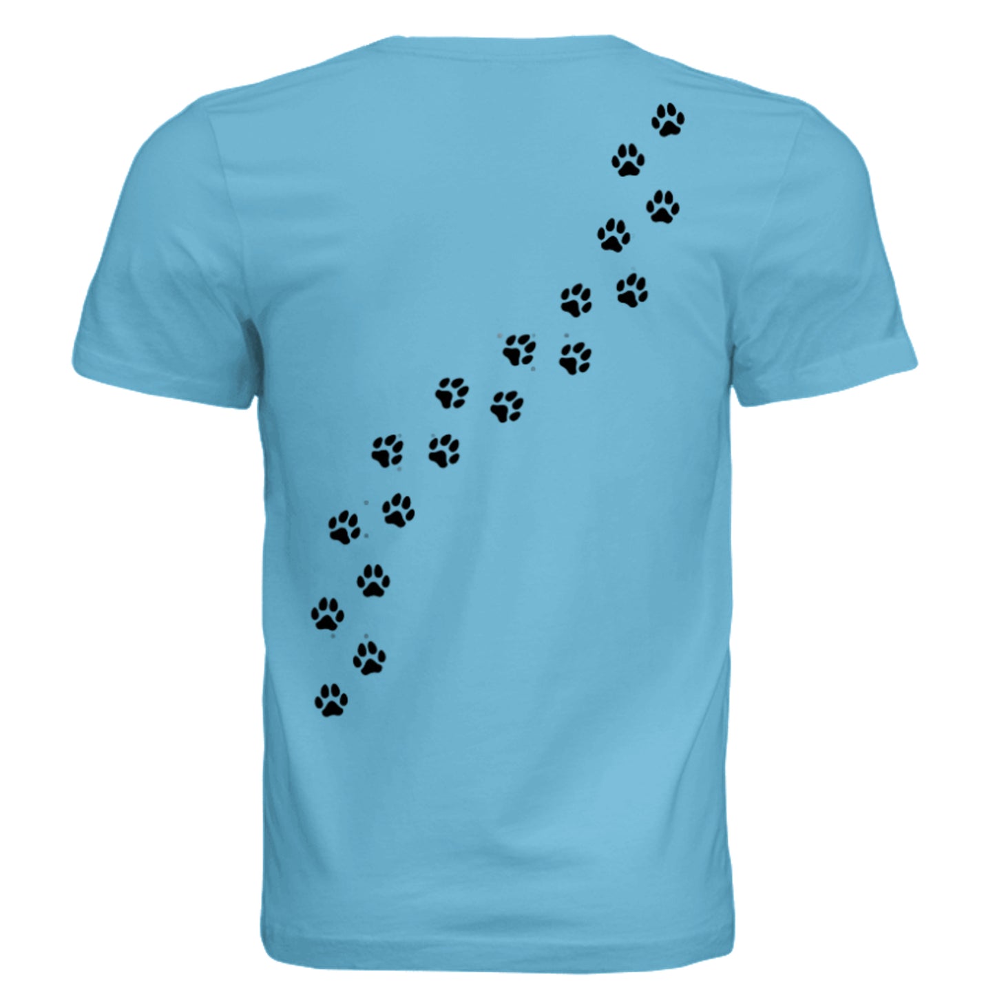 OCEAN BLUE - 3001C - BACK